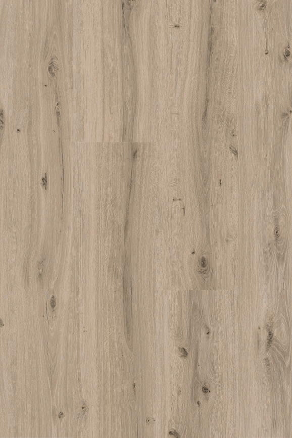 Eiche Select Grey